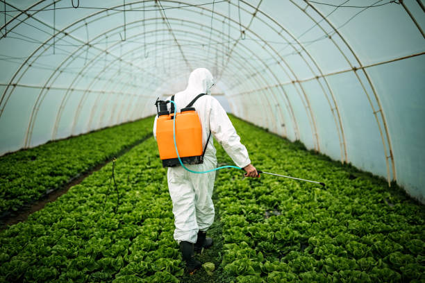 Best Insect Control  in Harbour Heights, FL