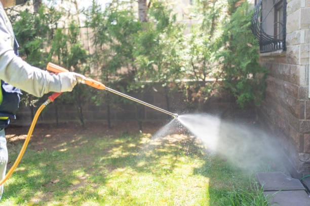 Best Pest Control Near Me  in Harbour Heights, FL