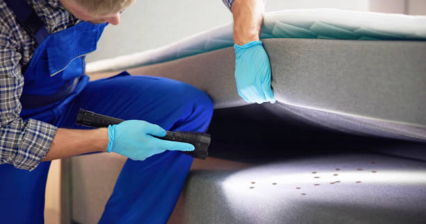 Best Commercial Pest Control Services  in Harbour Heights, FL