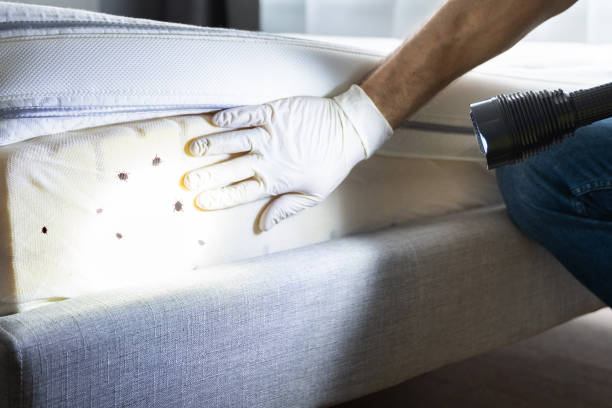 Best Residential Pest Control  in Harbour Heights, FL