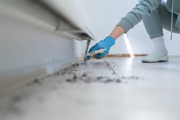 Best Wildlife Control Services  in Harbour Heights, FL