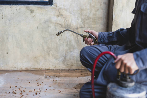 Best Pest Control for Homes  in Harbour Heights, FL